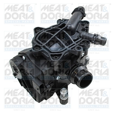 Thermostat, coolant